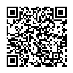 我们一起去挖草药好不好……我爸说现在家里五个读书的二维码生成