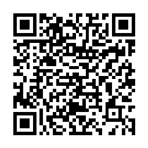 我们一起陪伴彼此阳光明媚或细雨霏霏的闲暇时光二维码生成