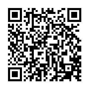 我们万剑仙宗的太上长老要不了多久就会降临此地二维码生成