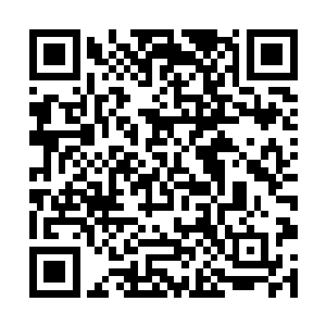 我们不会再捉弄你了……之前师娘都训过我们了……二维码生成