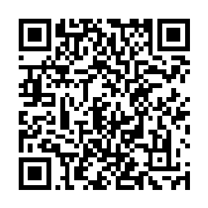 我们不可能把自己的生命建立在人类的怜悯和善意之上二维码生成