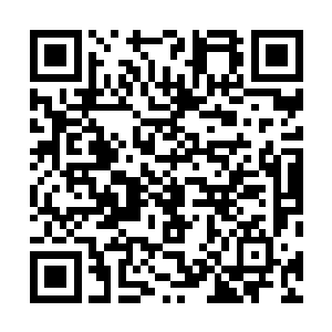 我们不是一直觉得之前生活的世界有什么不对劲的地方吗二维码生成