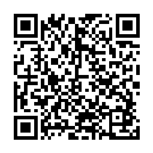 我们也是知道彼得先生被灰鹰部落的两位赏金猎手带走之后二维码生成
