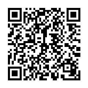 我们今天所有的人都该谢谢雷欢喜先生让我们看到了龙王兰二维码生成