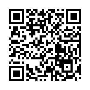 我们今天来是为了想和猪皇先生合作的二维码生成