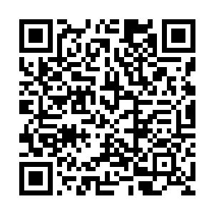 我们今晚就邀请到了这位风头正劲的新生代演员光临我们的节目二维码生成