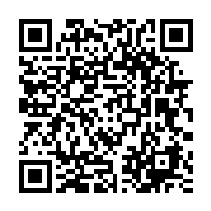 我们今晚还合唱一首朋友呀……你还说过等赵哥学会开飞机了二维码生成