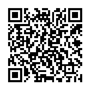 我们从一开始救乐萍儿就不是为了你们的尊级牛黄丸二维码生成