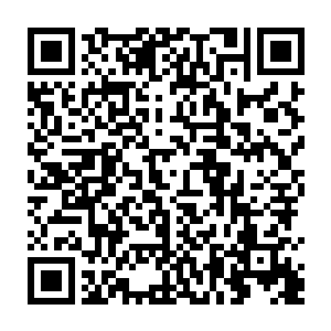 我们会将在大夏国这段时间里前前后后发生的所有事情一滴不漏的传回国内二维码生成