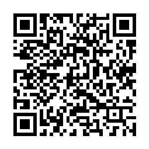 我们修真界虽说有谁发现的宝物就是谁的机缘这个规矩二维码生成