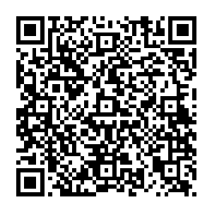 我们几个倒还好说……但我家公子现在这个状况……若是在这个时候不巧遭遇敌人的话……二维码生成