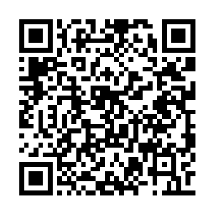 我们凯洛部落和尊敬的龟族大帝并没有什么交集二维码生成