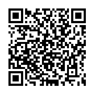 我们刚按照仙海鱼儿大人的…血脉特性改造完毕二维码生成