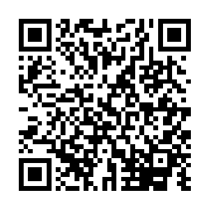 我们厂……我们厂好不容易才拿到美国三木公司的代理权二维码生成