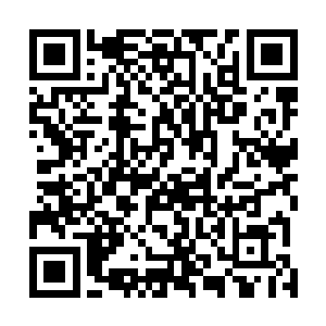 我们只是明白想要得到某些东西就一定需要有人牺牲而已二维码生成
