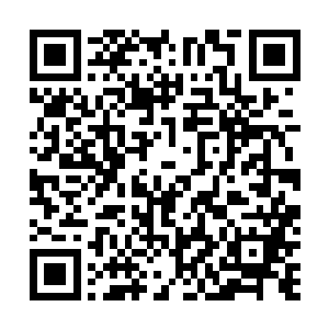 我们可以与这几个国家联合起来形成一个经济流通的关系二维码生成
