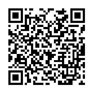 我们可以将遍布整颗星球的洗脑圣殿都改造成学校二维码生成