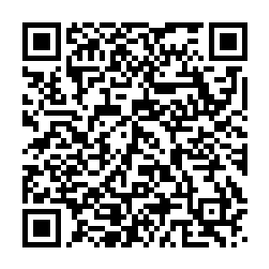 我们可以提供那些孩子在东大陆生活的所有骨币……你们不收骨币二维码生成