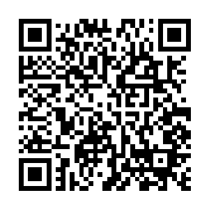 我们和不利用这段时间寻找神花之石和提高自己的境界呢二维码生成