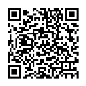 我们和向少杰之间的事情岂不是就全都要向警察交代二维码生成