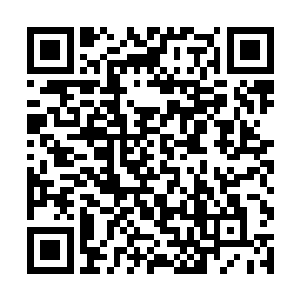 我们哪能在这么短的时间里收复接近三分之二的疆土二维码生成