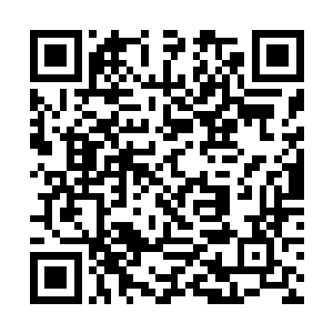 我们哪还敢让各位大少小姐继续吃厨房做出来的东西二维码生成