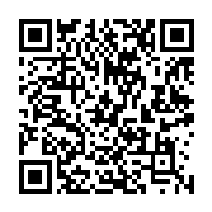我们哪里会如此快地收购那么多的混沌兽和域外天魔的精魄二维码生成