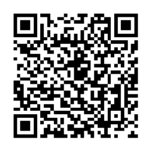 我们回去之后就要马上组织车队将大家的梨都先运到县城来二维码生成