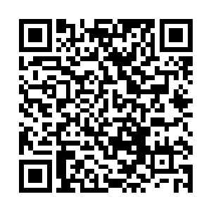 我们在坐的几个人一起逐个检查每个修士的储物戒指二维码生成