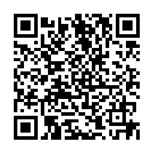 我们在城外的防御主要是马文武率领的一团负责二维码生成