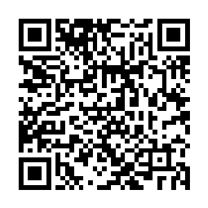 我们在这里能看到天空……这座城市应该不是在地形吧二维码生成