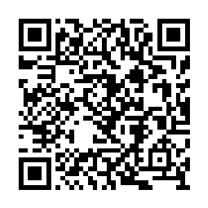 我们基本已经摸清楚了燃狱亚洲分部的详细情况二维码生成
