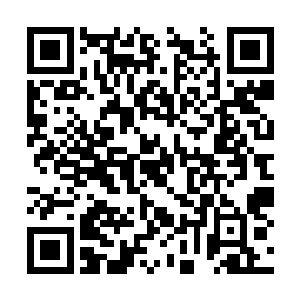 我们大家都只看到他们两个的无上荣光和绝代风华二维码生成