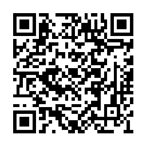 我们夺取上海县城基本上都来自于大元帅的谋划二维码生成