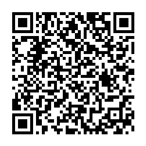 我们安达曼联盟在布莱克森人族走廊只是一个勉强能够自保的小势力二维码生成