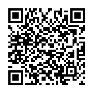 我们宋阀总不能供不起区区一个八级小家伙的消耗二维码生成