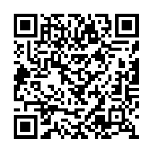 我们对生化技术和基因理论拥有如此深厚的认识二维码生成
