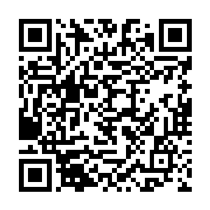 我们将一起推举菲伦特斯阁下成为黑手党的新任魁首二维码生成