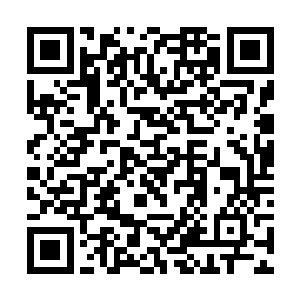 我们将在电影中出现美味披萨店店面招牌的特写镜头二维码生成