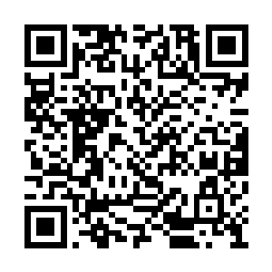 我们就不去强行去碰这些已经占据祭坛的皇子了二维码生成