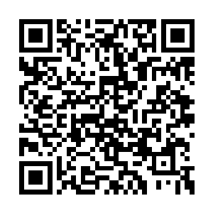 我们就带着他们去我们之前说好的地方去玩可好二维码生成