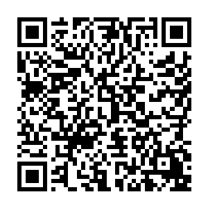 我们已经看到马哈代夫政府对全世界各大著名建筑设计事务所招标的消息二维码生成