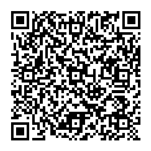 我们希望能够在这两地邀请部分企业家和竹木培育的学者专家以及种植户去考察那边的环境条件二维码生成
