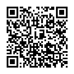 我们强者的力量有很大一部分也来自先祖的眷顾二维码生成