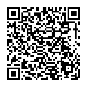 我们往生城的城主也是往生花的第一任主人就是在这个地方遇见了龙皇大人二维码生成
