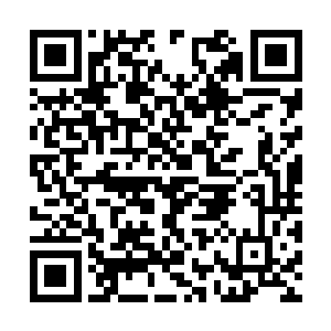 我们德意志军人也不愿意与您麾下的勇士兵戎相见二维码生成