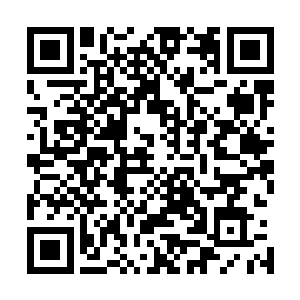 我们必须在鬼葬之棺进入鬼祭之地之前将鬼葬之棺夺取过来二维码生成