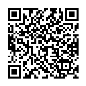 我们想要查查丁师弟的储物袋……还有身边这几个人的二维码生成