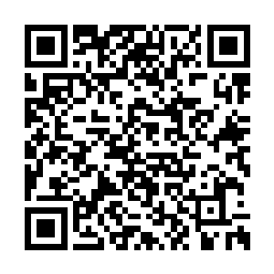 我们承认没有那个修士单独面对你会是你的对手二维码生成