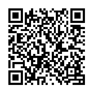 我们提取了火焰病毒的解药这将会带来怎样的轰动二维码生成